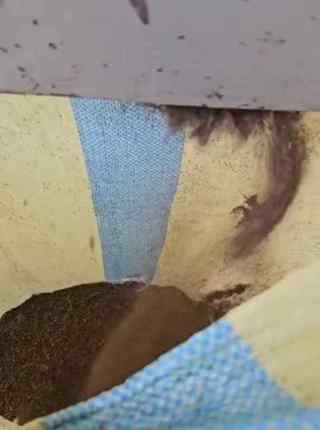 Dried output on-site footage